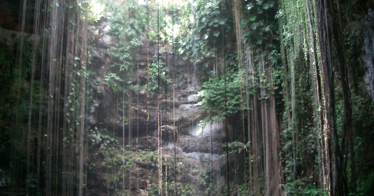 Unlock Affordable Cenote Adventures in Mexico: Pricing