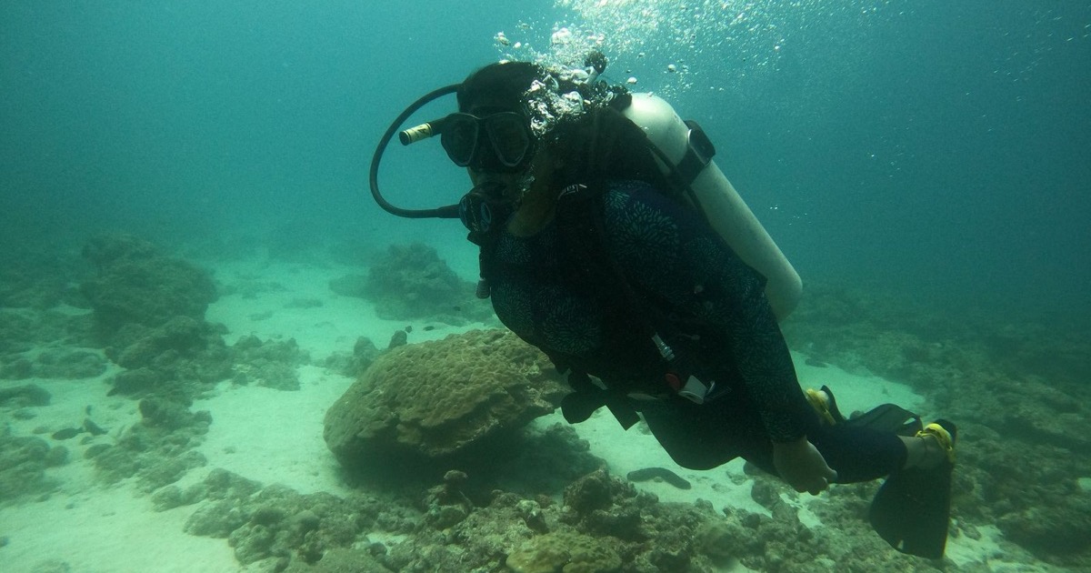 Best Diving Schools in Pattaya for First Time Tubing Divers in 2026