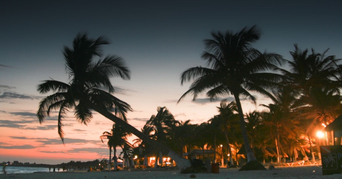 Sail into Tulum's Sunset with Live Music Insider Pricing