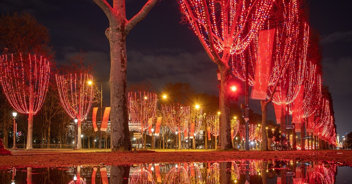 Where to Find the Most Authentic Authentic Regional Cuisine in Paris Guide